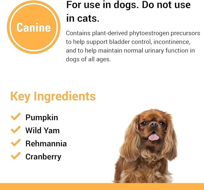 Vet Classics Bladder Support Urinary Tract & Incontinence Dog Supplement – Maintains Bladder Health for Dogs, Helps With Pet Incontinence – Soft Chews, Tablets – 60 Soft Chews