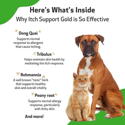 Pet Wellbeing Itch Support Gold for Dogs & Cats - Vet-Formulated - Itchy Skin & Paws, Hot Spots, Skin Allergies - Natural Herbal Supplement 4 oz (118 ml)
