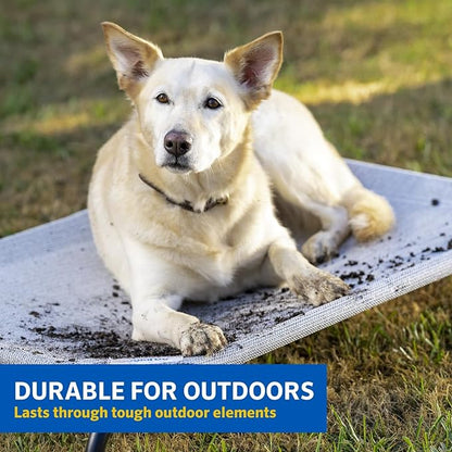 Coolaroo The Original Cooling Elevated Dog Bed, Indoor and Outdoor, Large, Nutmeg