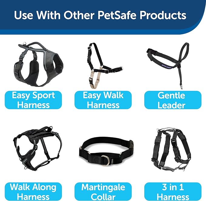 PetSafe Nylon Dog Leash - Strong, Durable, Traditional Style Leash with Easy to Use Bolt Snap - 3/4 in. x 6 ft., Black