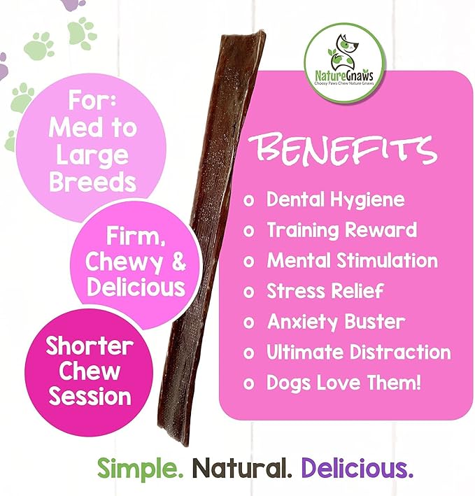 Nature Gnaws - Beef Jerky Chews for Large Dogs - Premium Natural Beef Gullet Sticks - Simple Single Ingredient Tasty Dog Chew Treats - Rawhide Free 9-10 Inch