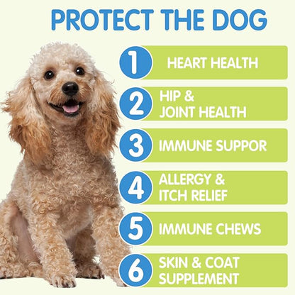 Allergy Relief Dog Treats w/Omega 3 + Pumpkin + Enzymes, Dog Allergy Relief Chews, Itch Relief for Dogs, Anti-Itch Treats - Skin & Coat + Immune Digestive Supplement