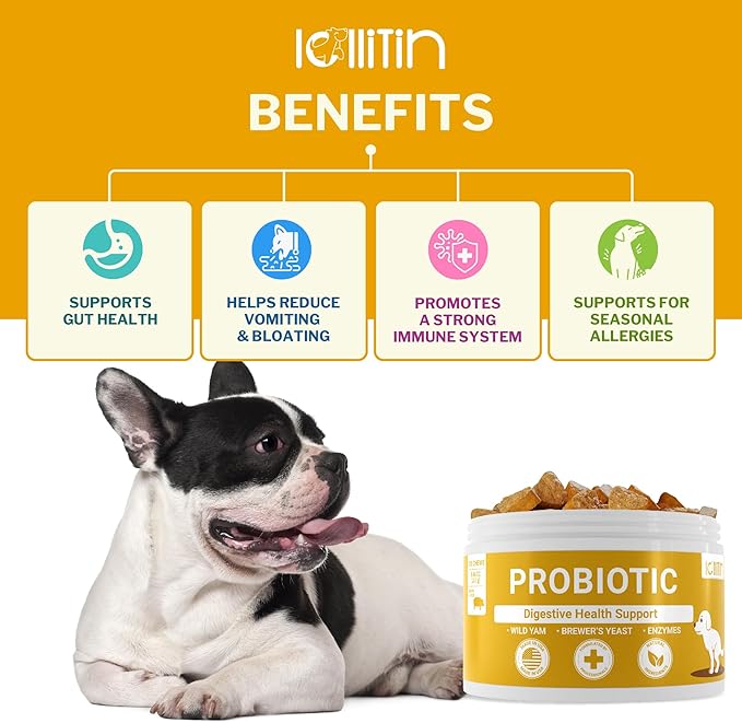 Probiotics for Dogs - 120 Chews - Made in USA - All Natural - Dog Supplement for Gut & Digestive Health, Immune Support - Prebiotics, Fiber, Enzymes for Gut Flora - Diarrhea & Bowel Support