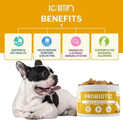 Probiotics for Dogs - 120 Chews - Made in USA - All Natural - Dog Supplement for Gut & Digestive Health, Immune Support - Prebiotics, Fiber, Enzymes for Gut Flora - Diarrhea & Bowel Support