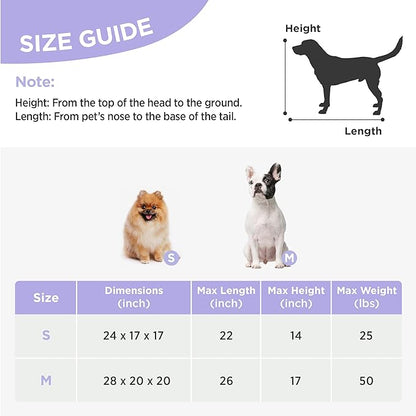 Lesure Collapsible Travel Dog Crate for Small Dogs, Portable Soft Dog Crate for Outdoor & Indoor, Folding Fabric Dog Kennel with Handle, 24 Inch Heavy Duty Pet Carrier (Green)