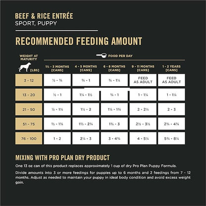 Purina Pro Plan Sport High Protein Puppy Food Beef & Rice Wet Formula - (Pack of 12) 13 oz. Cans