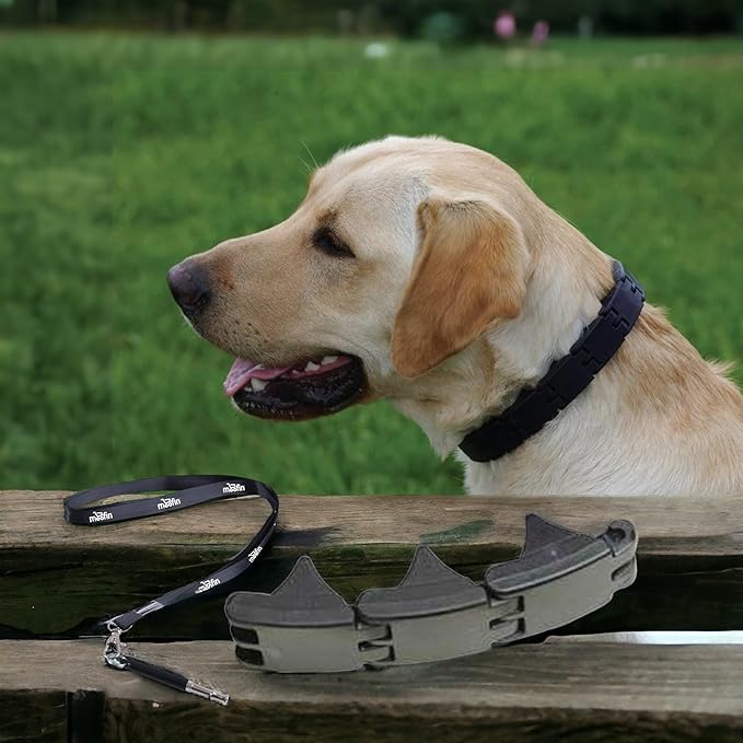 Add Link Small Size for Dog Training Collars – Durable Add Link Dog Collar Bundled with Moofin Pet Training Whistle, Easy to Use, Expandable Design, Ideal for Behavior Correction [Pack of 2]