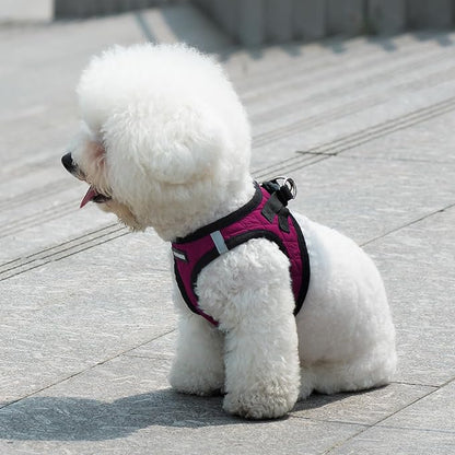Voyager Step-In Plush Dog Harness – Soft Plush, Step In Vest Harness for Small and Medium Dogs by Best Pet Supplies - 1Fuchsia Corduroy, M (Chest: 16 - 18")
