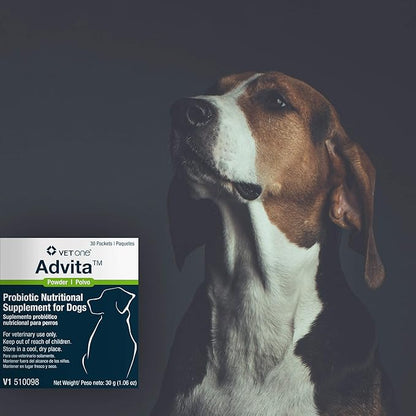 Vet One Advita™ Probiotic Powder for Dogs, a Daily Nutritional Supplement to Maintain Immune System, Appetite, & Digestion in 30, 1g Packets (3-Pack)