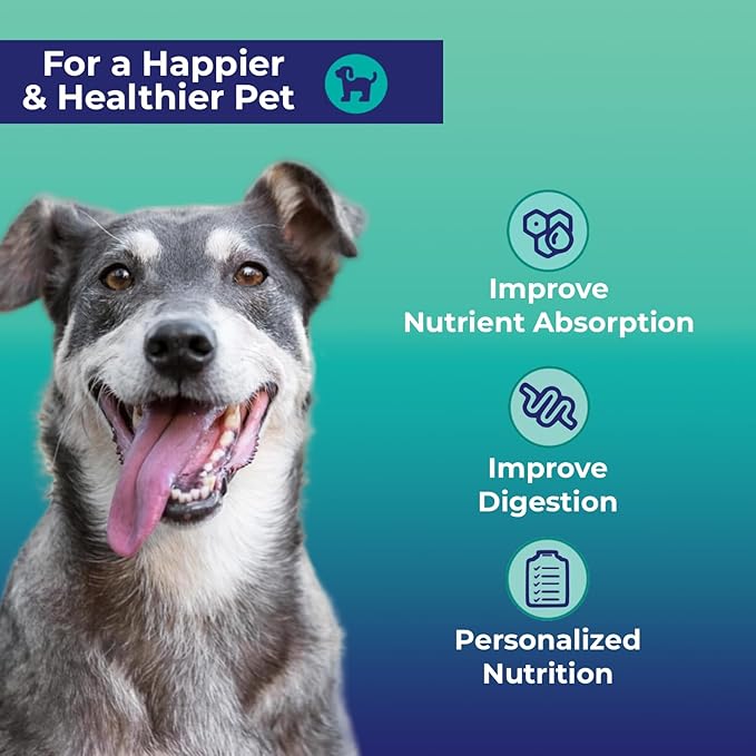 Digestion & Detox At-Home Test Kit - Expert Panel Insights for Dog's Microbiome and Digestive Health - Essential Pet Supply for Overall Wellness