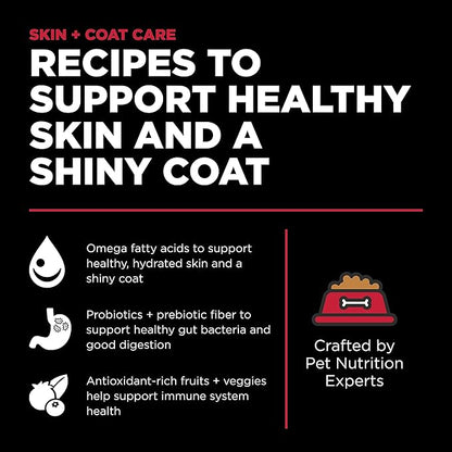 GO! SOLUTIONS Skin + Coat Care - Dry Dog Food, 12 lb - Lamb Recipe with Grains for All Life Stages - Complete + Balanced Nutrition for Dogs