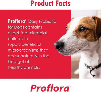 Proflora Probiotics for Dogs-Complete Gut Health & Immune Support. Easy to Use Digestive Multi-Strain Probiotics. Easier Diet Transitions, Healthier Skin & Coat & Helps Treat Diarrhea. 60 Soft Chews
