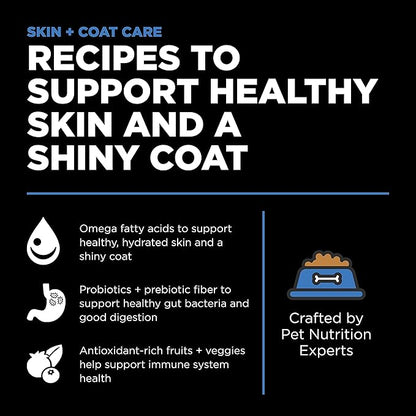 GO! SOLUTIONS Skin + Coat Care - Dry Dog Food, 12 lb - Chicken Recipe with Grains for All Life Stages - Complete + Balanced Nutrition for Dogs