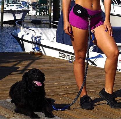 Black Rhino - Premium HANDS FREE DOG LEASH for Running Walking Jogging & Hiking - Adjustable Length Dual Handle Bungee Leash Medium – Large Dogs Neoprene Padded Handles - Running Pouch Included Aqua