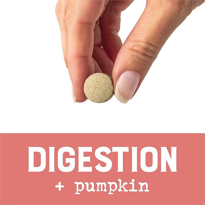 Dog Supplements Powered by Purina Digestion Chewable Tablets with Pumpkin - 4.23 oz. Canister