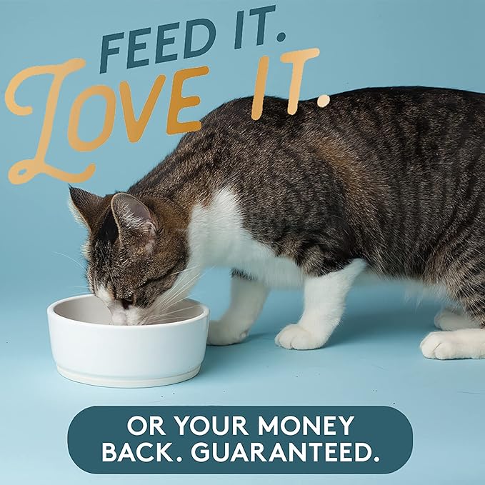 The Missing Link Pet Kelp Feline Well-being 6oz Superfood Powdered Supplement, Organic & Limited Ingredient Formula for Digestive & Overall Health of Cats