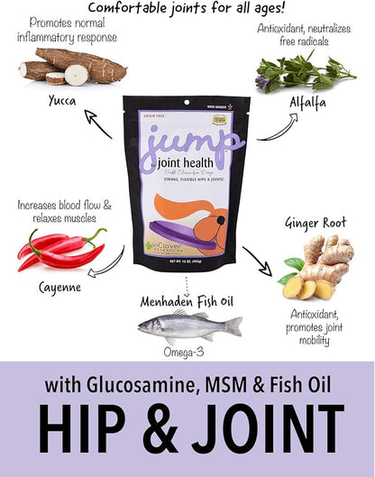 In Clover Jump Soft Chews for Daily Joint Care and Endurance Support for Dogs with Glucosamine HCl, MSM, Fish Oil, Ginger, Yucca, and Coconut Oil for All Life Stages, 5.3 oz. (30 count)