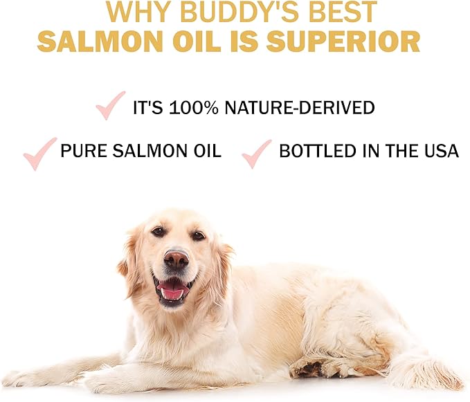 Buddy's Best, Salmon Oil for Dogs - 100% Pure Norwegian Virtually Odorless Fish Oil - Omega-3 Supplements for Dogs & Cats - Promotes Healthy Skin and Coat - Dog Food Oil in Pump Bottle (1 Gallon)