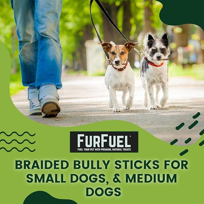 Braided Bully Sticks Variety Pack for Dogs - Suitable for Small, Medium, and Large Breeds – 3 Pack of 6-Inch Dog Bully Sticks - Low Odor, All-Natural Chew (6 Inch, 3 Count)