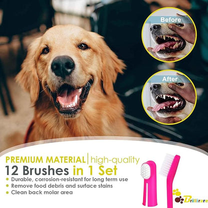Dog Toothbrush Set of 12, Soft Silicone Finger Toothbrushes, Double Head Cat Teeth Cleaning & Dental Care for Small, Medium&Large Pets