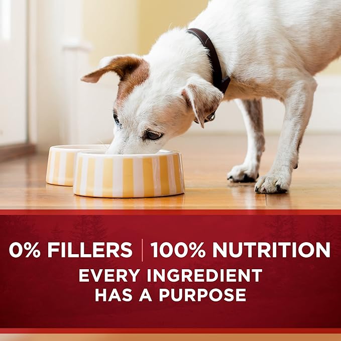 Purina ONE True Instinct Tender Cuts in Gravy with Real Turkey and Venison, and with Real Chicken and Duck High Protein Wet Dog Food Variety Pack - 13 Ounce (Pack of 6)