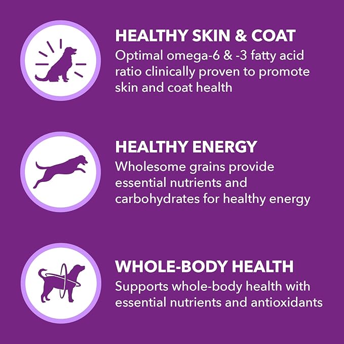 IAMS Advanced Health Skin & Coat Adult Dry Dog Food Chicken and Salmon Recipe, 36 lb. Bag