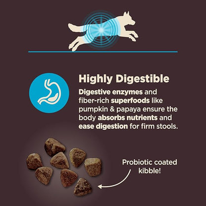Wellness CORE Digestive Health Dry Dog Food with Wholesome Grains, Highly Digestible, for Dogs with Sensitive Stomachs, Made in USA with Real Protein (Whitefish & Brown Rice, 22-Pound Bag)