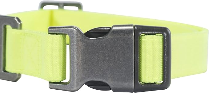 Carhartt Nylon Duck Dog Collar, Fully Adjustable Durable 2-Ply Cordura Nylon Canvas Collars for Dogs, Brite Lime, Large
