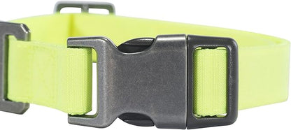Carhartt Nylon Duck Dog Collar, Fully Adjustable Durable 2-Ply Cordura Nylon Canvas Collars for Dogs, Brite Lime, Large