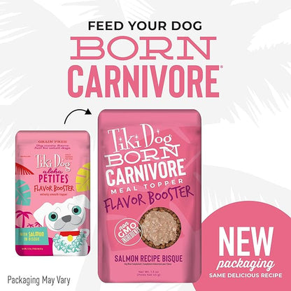 Tiki Dog Born Carnivore Flavor Booster, Salmon Recipe Bisque, Grain Free Meat Based Treat, Meal Topper for All Dog Breeds and All Life Stages, 1.5 oz Pouch, Pack of 12