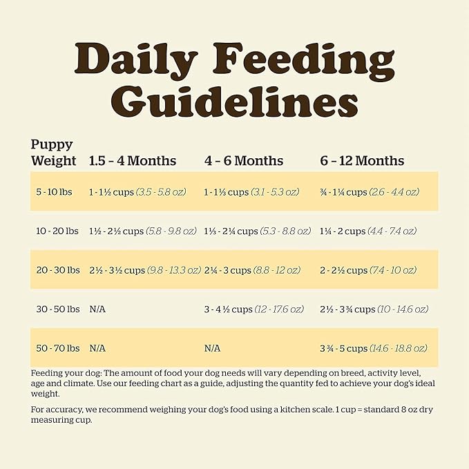 Now Fresh Grain Free Puppy Food, 22 lb - Dry Dog Food Recipe for Puppies - Real Meat and Fish for Protein - Healthy Diet for Small, Medium and Large Breed Dogs
