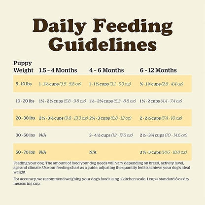 Now Fresh Grain Free Puppy Food, 22 lb - Dry Dog Food Recipe for Puppies - Real Meat and Fish for Protein - Healthy Diet for Small, Medium and Large Breed Dogs
