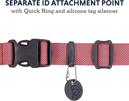 Ruffwear, Hi & Light Dog Collar, Minimal and Ultralight Collar for Everyday Walks and Runs, Salmon Pink, 11"-14"