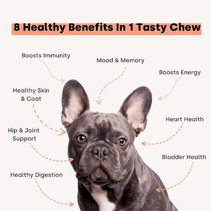 Kayode Daily Multi - Natural Homemade Dog Food Supplement. Dog Multivitamin with Omega for Dogs. Superfood Led. Dog Food Supplement for Homemade Food. Give As Treat Or Crumble On Meals.