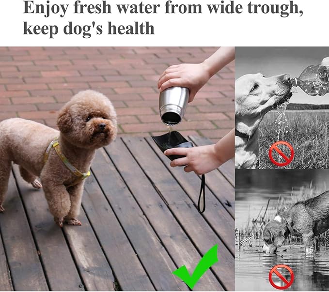 VIVAGLORY Dog Water Bottle, Pet Drinking Bottle, 25oz Portable & Leakproof Stainless Steel Dog Travel Water Bottle Bowl with Large Trough for Walking & Hiking, Stainless Steel