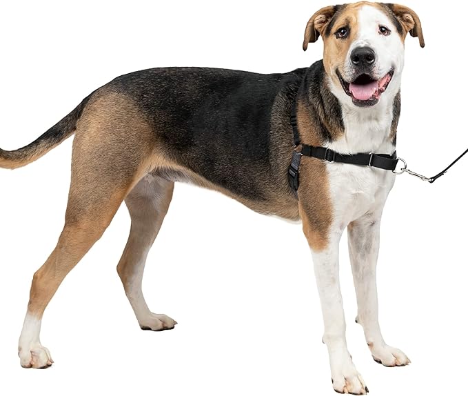 PetSafe Easy Walk No-Pull Dog Harness - The Ultimate Harness to Help Stop Pulling - Take Control & Teach Better Leash Manners - Helps Prevent Pets Pulling on Walks - Extra Large, Charcoal/Black