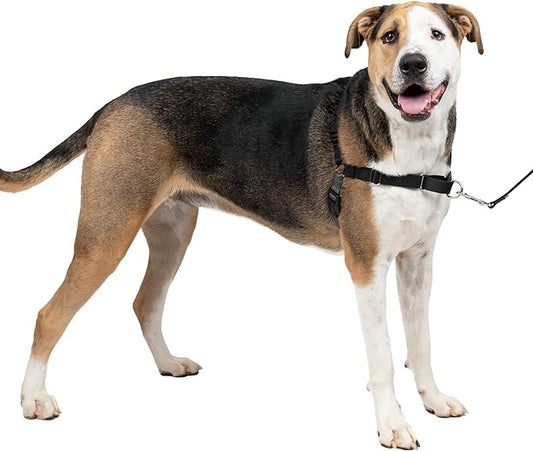 PetSafe Easy Walk No-Pull Dog Harness - The Ultimate Harness to Help Stop Pulling - Take Control & Teach Better Leash Manners - Helps Prevent Pets Pulling on Walks - Extra Large, Charcoal/Black