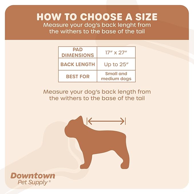 Downtown Pet Supply Dog Grass Pad with Tray, 17 x 27 - Outdoor and Indoor Potty System for Dogs with Replaceable Synthetic Grass Pee Turf - Portable and Waterproof Turf Dog Potty