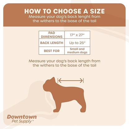 Downtown Pet Supply Dog Grass Pad with Tray, 17 x 27 - Outdoor and Indoor Potty System for Dogs with Replaceable Synthetic Grass Pee Turf - Portable and Waterproof Turf Dog Potty