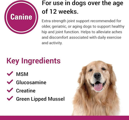 Vet Classics Re-Flex Ultra Extra-Strength Joint Support Dog Supplement – Includes MSM, Creatine, Glucosamine, Green Lipped Mussel – Supports Healthy Dog Joints – Chewable Tablets 120 Ct.