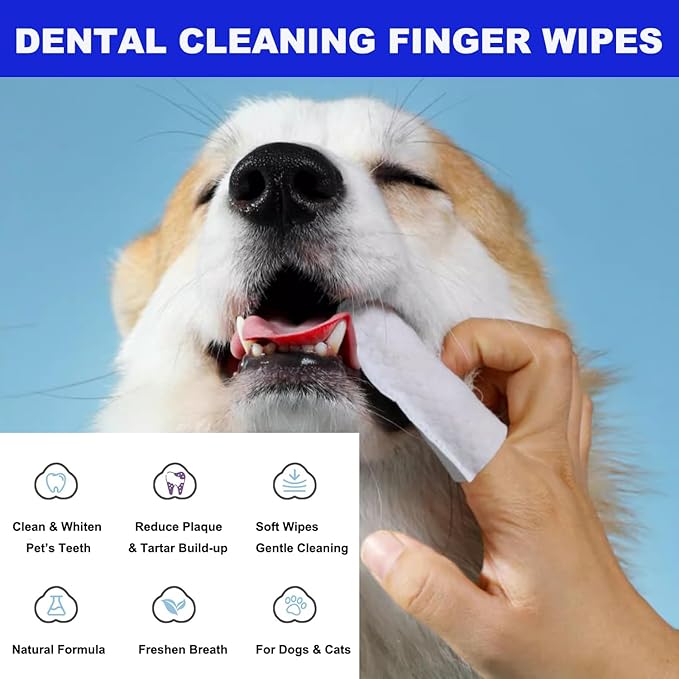 Dog Teeth Cleaning Wipes - 2 Pack | 100 Count, Dental Wipes for Dog Teeth, Pet tooth brushing kit Finger Wipes for Dogs & Cats - Reduces Plaque & Freshens Breath