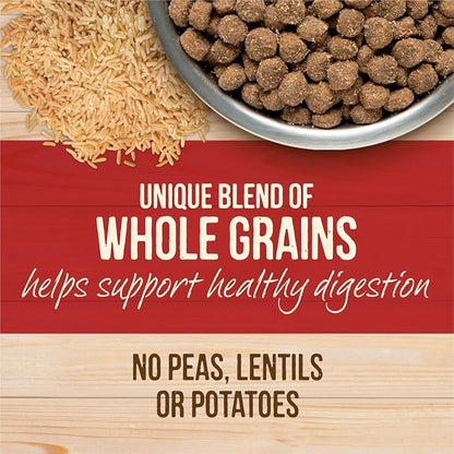 Merrick Healthy Grains Freeze Dried Raw Coated Kibble, Natural High Protein Dog Food, Beef and Brown Rice - 22.0 lb. Bag