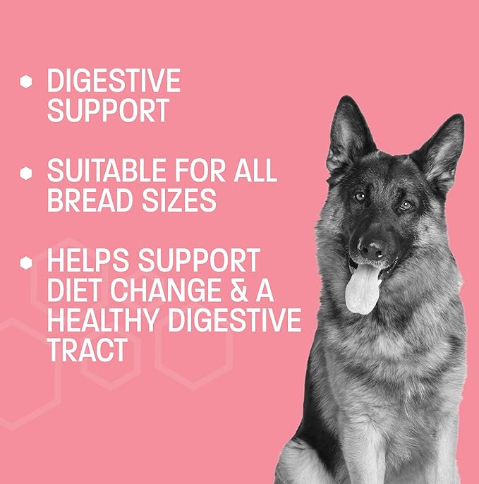 Advanced Probiotics for Dogs - Probiotic Soft Chew for Upset Stomach, Diarrhea & Constipation Relief - Promotes Happy Gut, Happy Dog - 60 ct