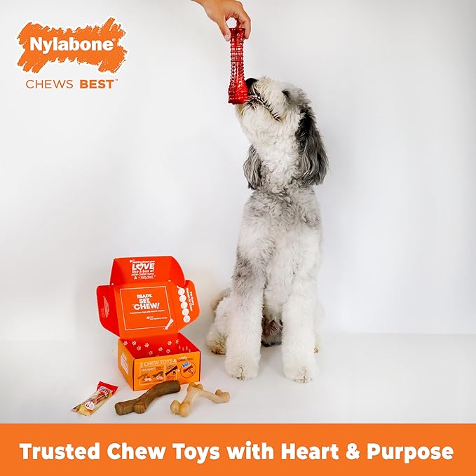 Nylabone Dog Toy Gift Box, includes 3 Strong Chew Toys and 1 Dog Treat, Chew Toys for Large Dogs, Large/Giant (4 Count)