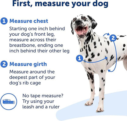 PetSafe Easy Walk Deluxe Dog Harness, No Pull Dog Harness – Perfect for Leash & Harness Training – Stops Pets from Pulling and Choking on Walks – Medium/Large, Ocean