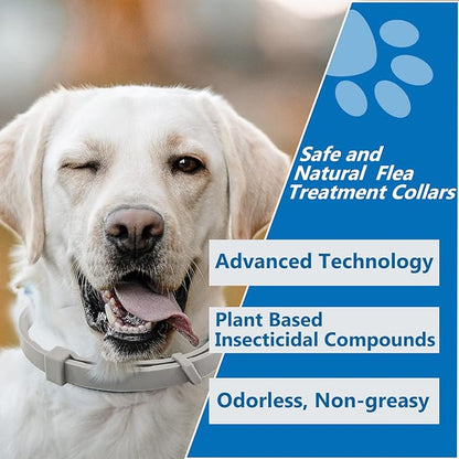Flea Collar for Dogs - 2 Pack Dog Flea Collar - 12 Months Natural Flea and Tick Prevention for Small, Medium, Large Dogs - Adjustable & Safe - Free Flea Comb