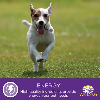 Wellness Petite Entrees Mini Filets Grain Free Natural Wet Small Breed Dog Food, Roasted Chicken & Beef, 3-Ounce Cup