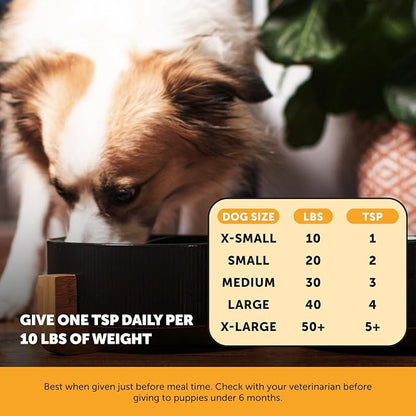 Pet Honesty Dog Allergy Relief Salmon Oil Anti-Itch for dogs, Itch Relief & Omega-3 for Dogs, Dog Skin and Coat Supplement, May Reduce Normal Shedding & Itching, Joint, Brain & Heart Health (16 oz)