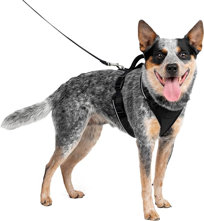 PetSafe EasySport Dog Harness – Adjustable, Padded Dog Harness with Control Handle and Reflective Piping – Medium, Black