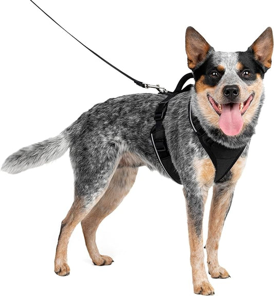 PetSafe EasySport Dog Harness – Adjustable, Padded Dog Harness with Control Handle and Reflective Piping – Medium, Black